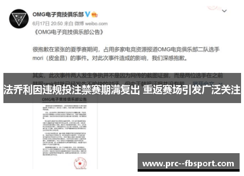 法乔利因违规投注禁赛期满复出 重返赛场引发广泛关注 法乔利因违规投注禁赛期满复出 重返赛场引发广泛关注